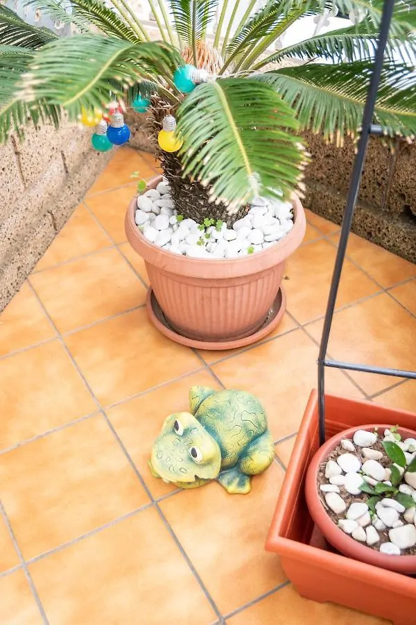 Apartment Green Sky San Juan de la Rambla Spain